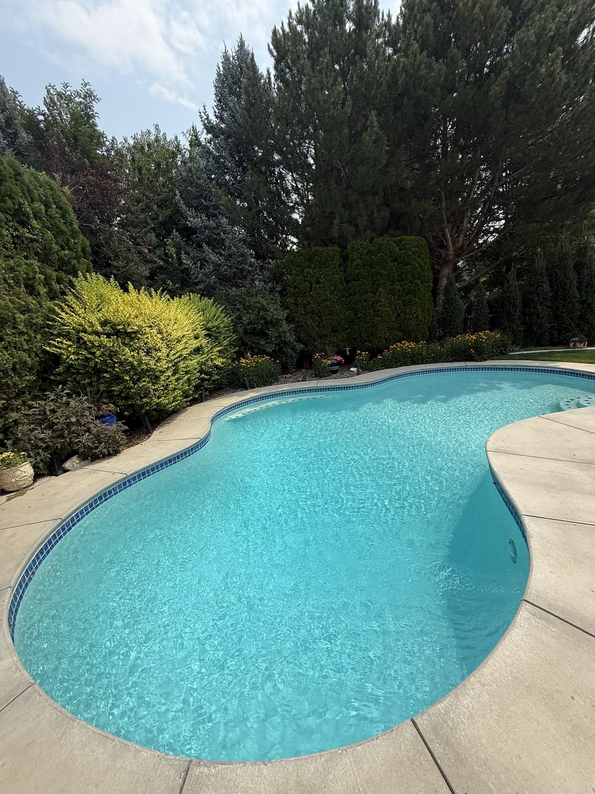 Kidney-shaped backyard pool in crystal-clear turquoise water